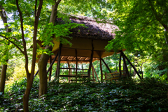 六義園