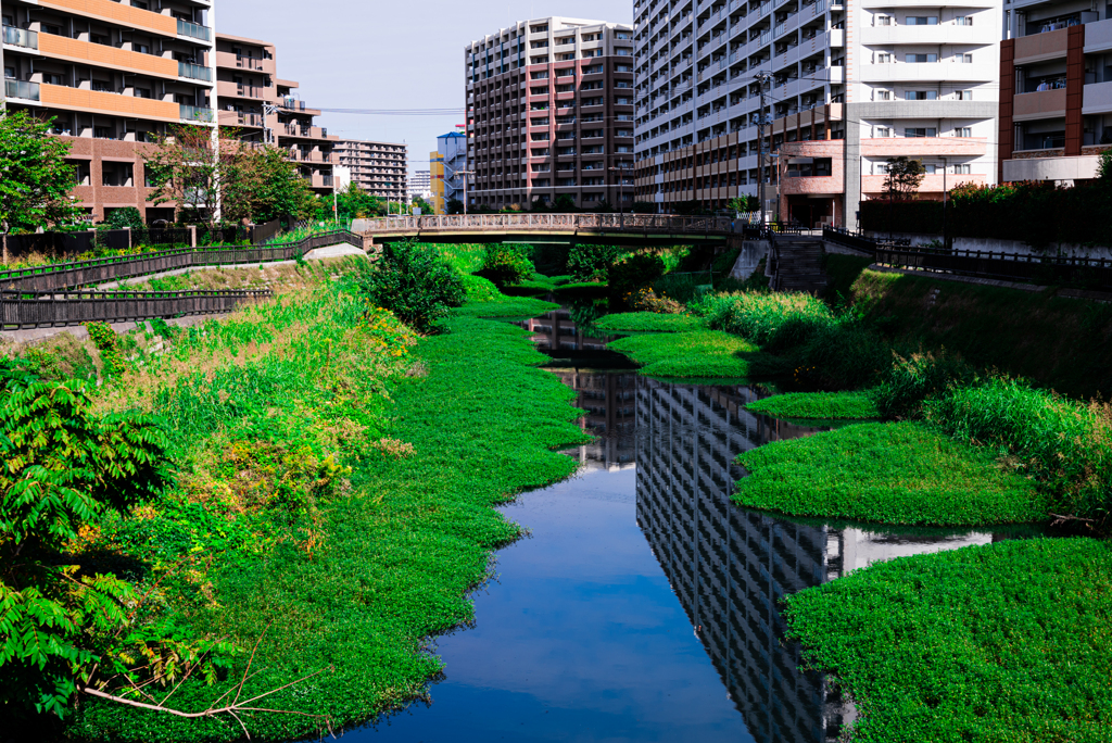 川口元郷　あら川