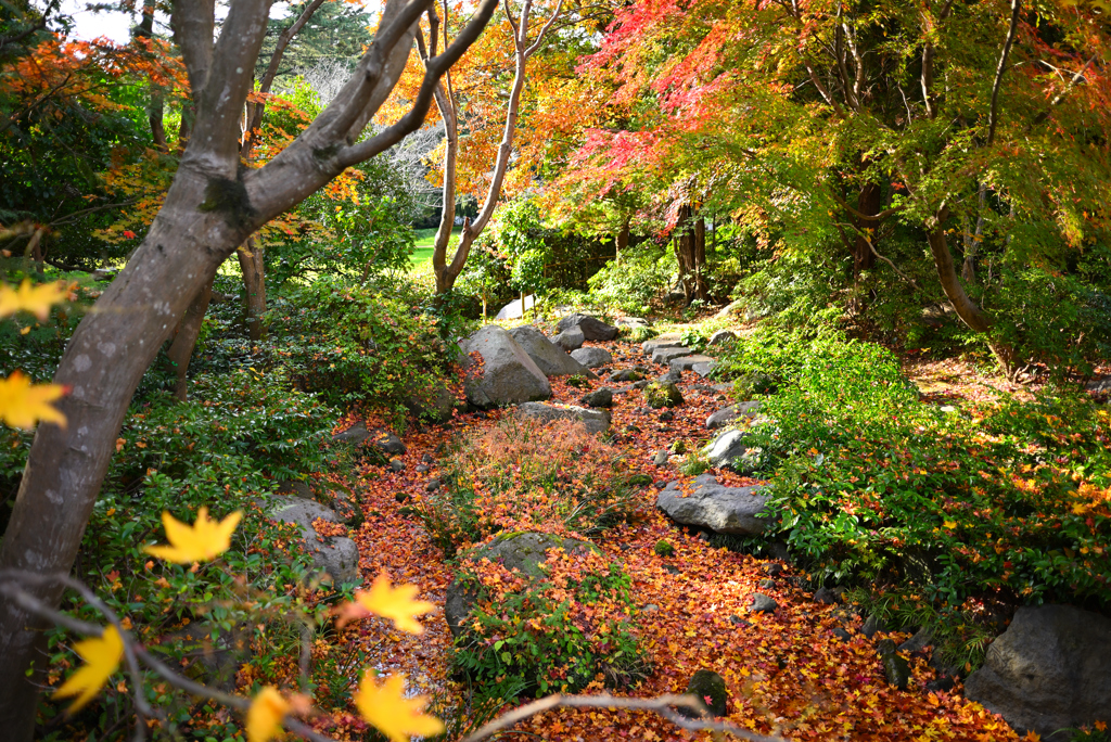 昭和記念公園