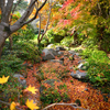 昭和記念公園