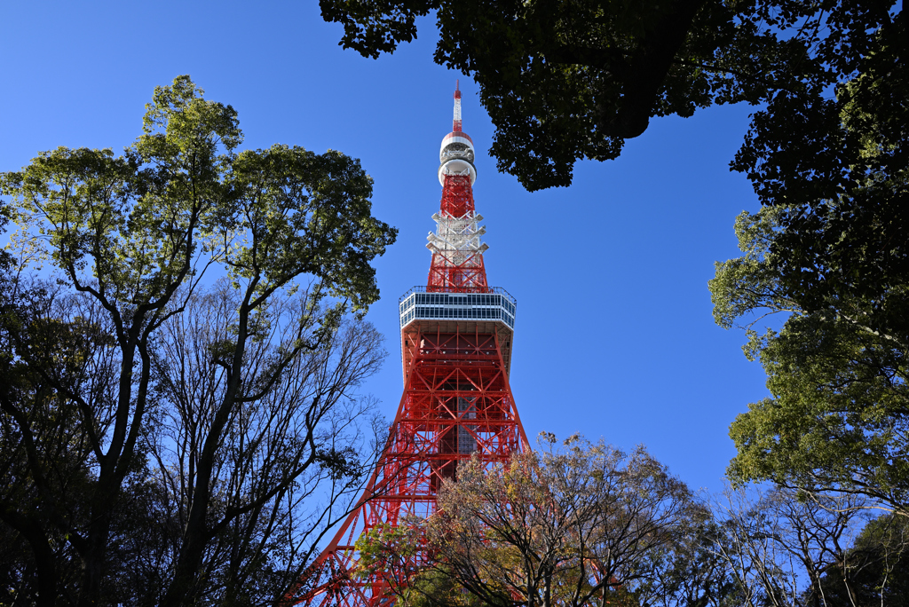 東京タワー