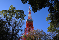 東京タワー