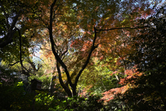名主の滝公園