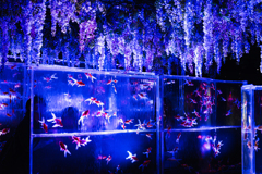 水族館