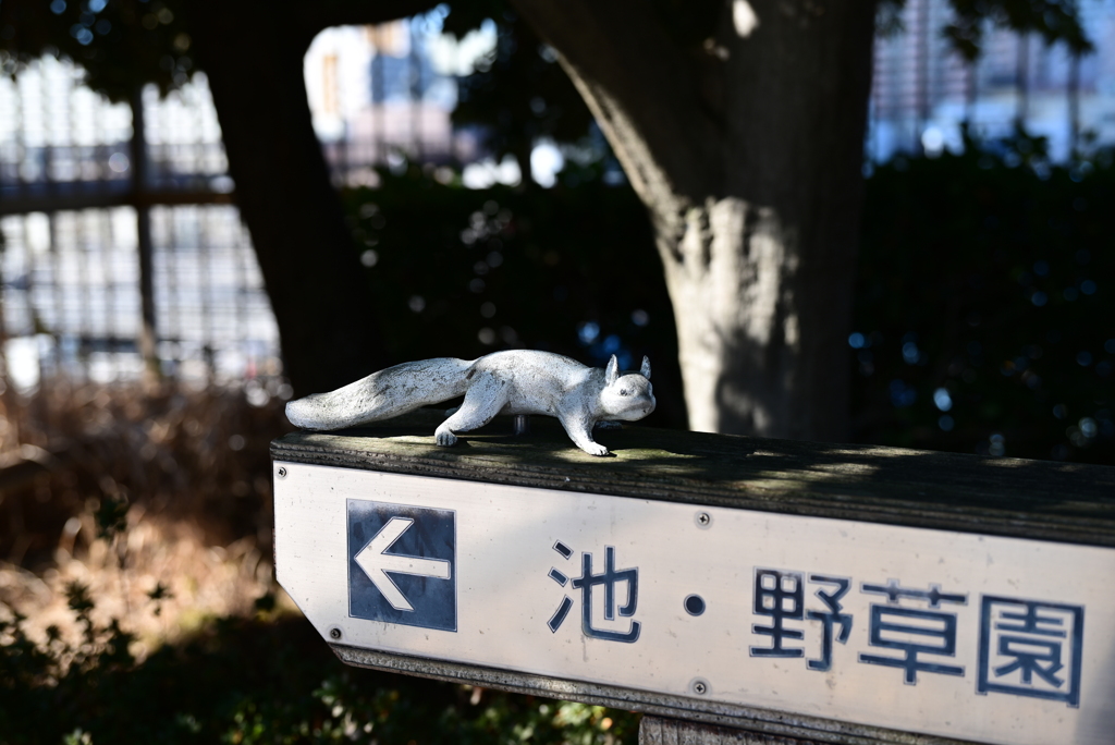 案内板