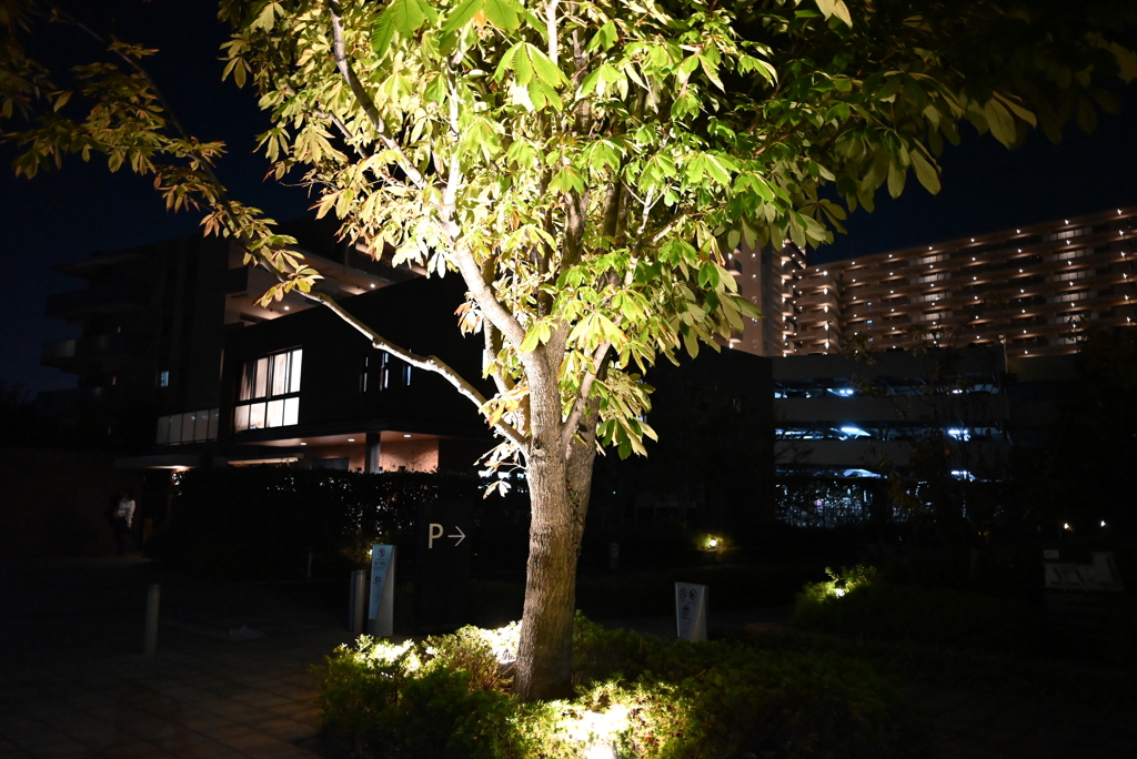 夜の街角