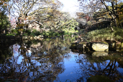 名主の滝公園