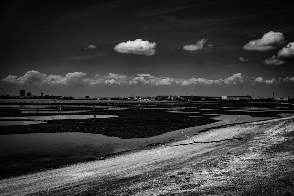 三番瀬海浜公園