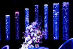 水族館