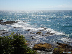 海岸