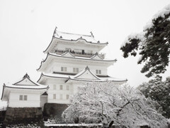 城と雪