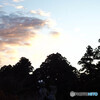夕景