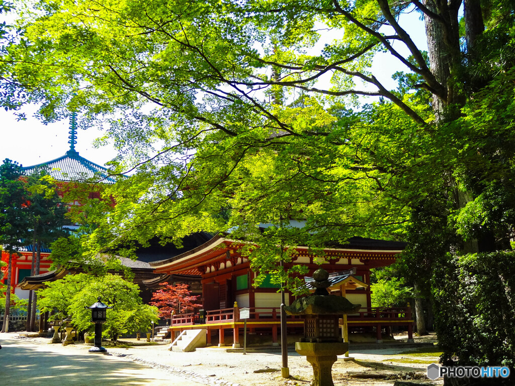 お寺の風景