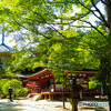 お寺の風景