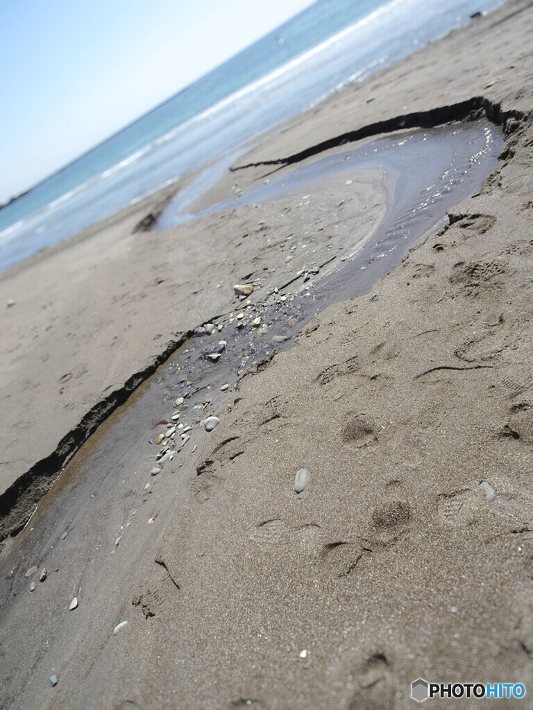 海