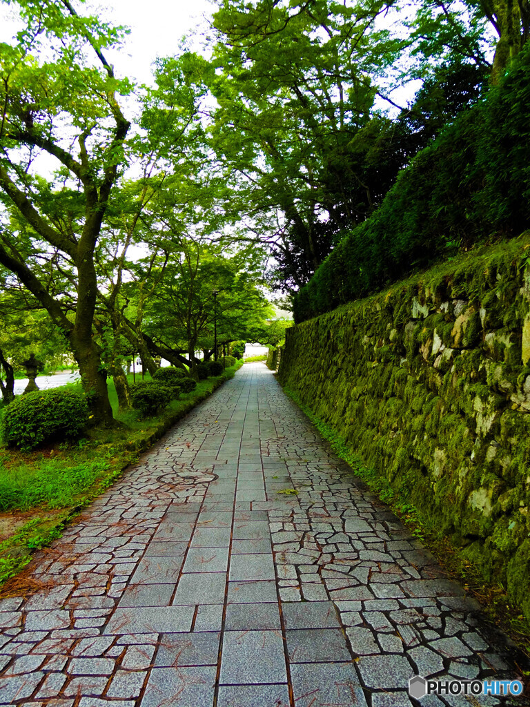 石垣の道