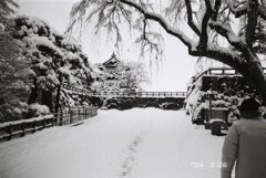 弘前公園の冬