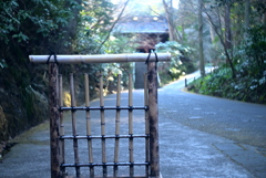鎌倉散歩