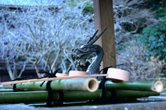 鎌倉散歩
