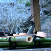 鎌倉散歩