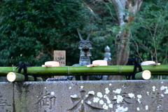 鎌倉散歩
