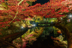 水面の映る紅葉－岩屋堂ライトアップ２０２４－