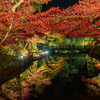 水面の映る紅葉－岩屋堂ライトアップ２０２４－
