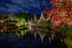 白鳥庭園 ～紅葉ライトアップ～