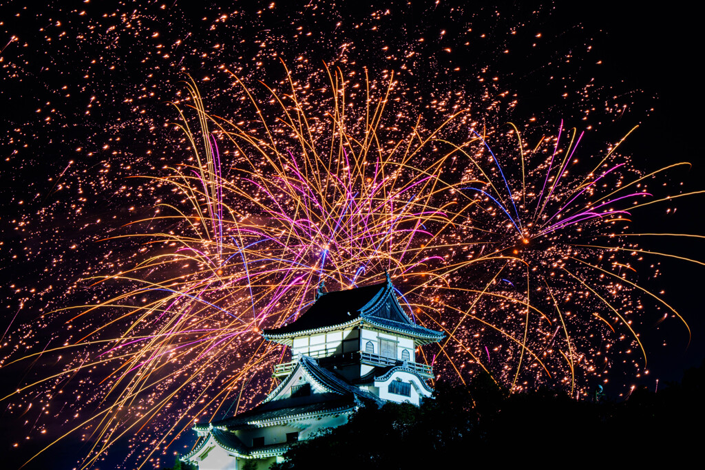 『犬山城と花火』－日本ライン夏祭りー