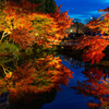 なばなの里 －鏡池の逆方向からの逆さ紅葉－