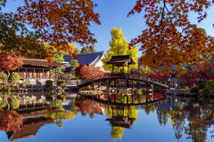 水面に映る絶景 〈虎渓山永保寺の紅葉〉