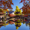 水面に映る絶景 〈虎渓山永保寺の紅葉〉