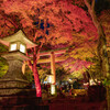夜散歩坂本の日吉神社のライトアップ