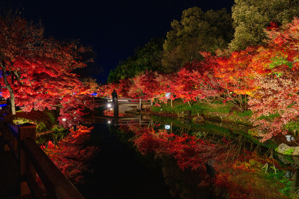 なばなの里 －鏡池の水面を彩る逆さ紅葉－