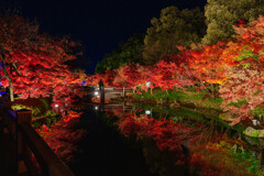 なばなの里 －鏡池の水面を彩る逆さ紅葉－