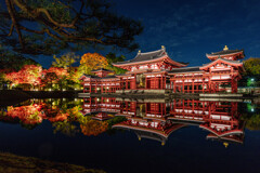 錦秋のあかり ～平等院 夜間特別拝観～