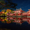 錦秋のあかり ～平等院 夜間特別拝観～