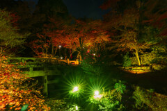 夜散歩坂本の日吉神社のライトアップ