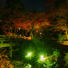 夜散歩坂本の日吉神社のライトアップ