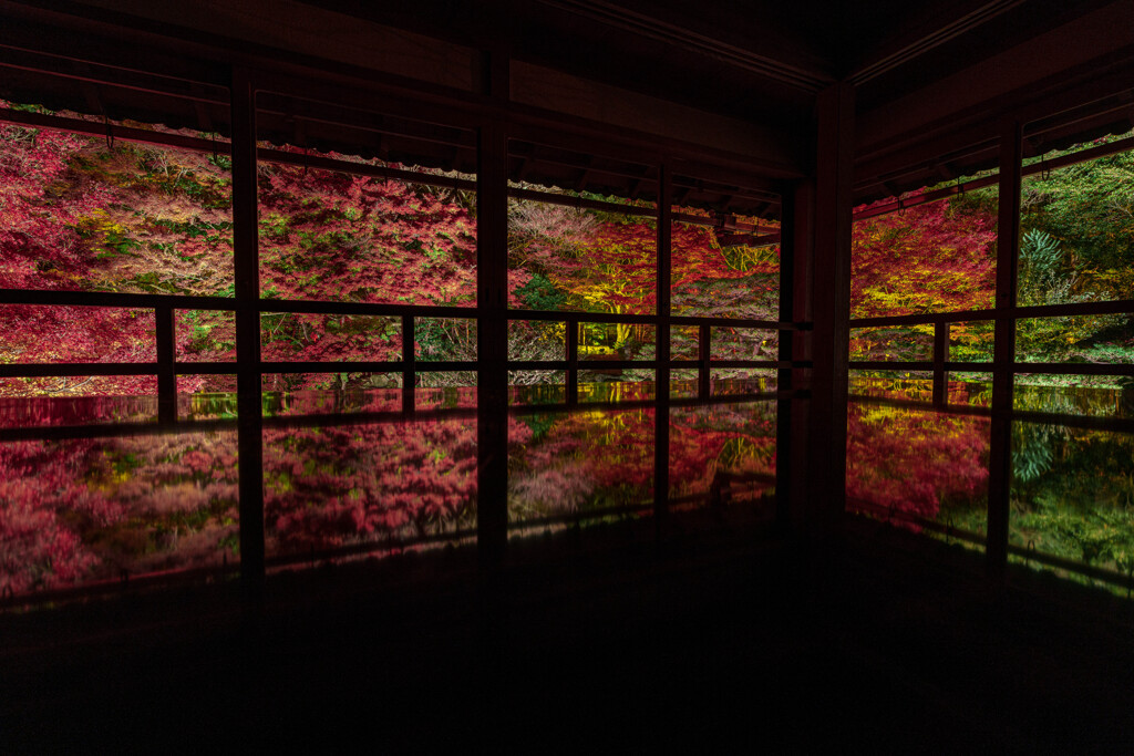 旧竹林院の紅葉ライトアップ