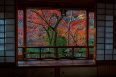 晩秋の嵐山祐斎亭 ～まる窓の部屋の前室にも････～
