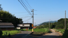 日本最後の夏休み