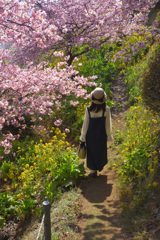 木陰にて