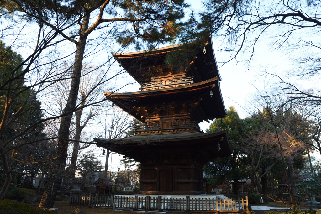 豪徳寺三重塔