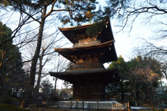 豪徳寺三重塔