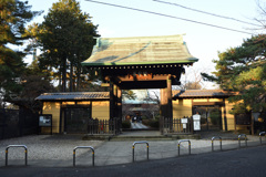 豪徳寺山門