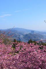 高速道路