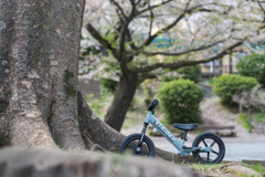 すとらいだー