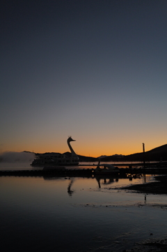 山中湖の白鳥