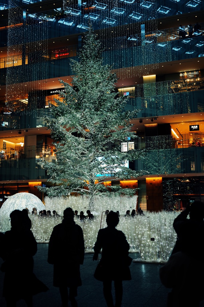 イルミネーションの季節